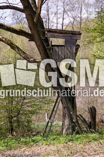 Hochstände (101 von 154).jpg